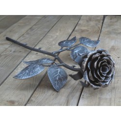 rose d'acier